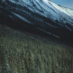 Seasonal Ritual: Carving Warmth into Summer’s Breathless Mountain Air
